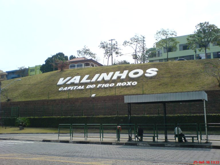 _Valinhos_a_Capital_do_Figo_Roxo__-_panoramio